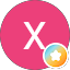 X L. Avatar